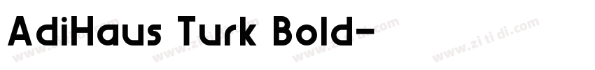 AdiHaus Turk Bold字体转换